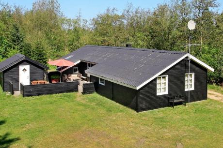 Holiday home Denmark - : 