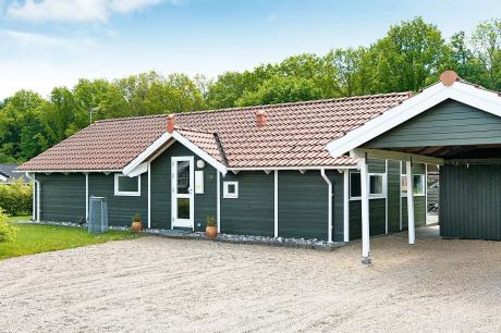 Holiday home Denmark - : 