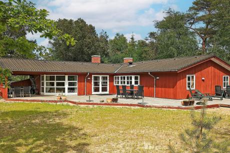 Holiday home Denmark - : 