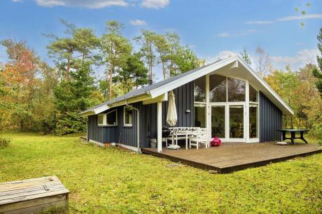 Holiday home Denmark - : 