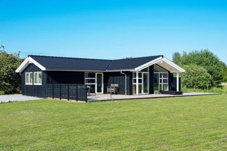 Holiday home Denmark - : 