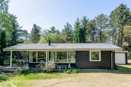 Vakantiehuis Denemarken - : 