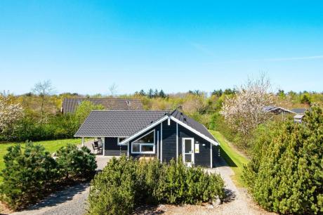 Holiday home Denmark - : 