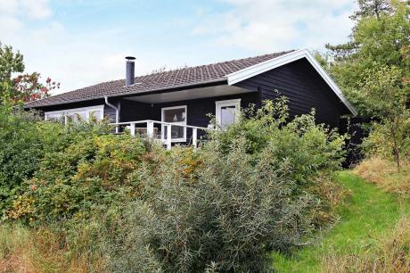 Holiday home Denmark - : 