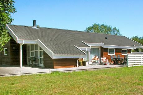 Ferienhaus Denemarken - : 