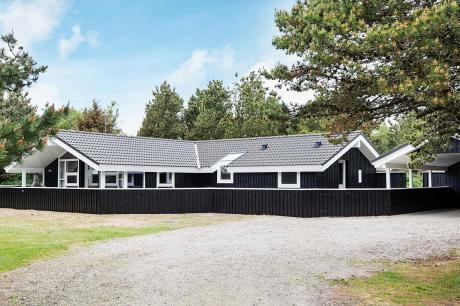 Holiday home Denmark - : 