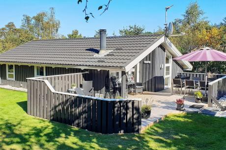 Holiday home Denmark - : 