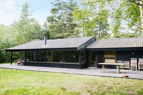 Holiday home Denmark - : 