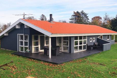 Holiday home Denmark - : 