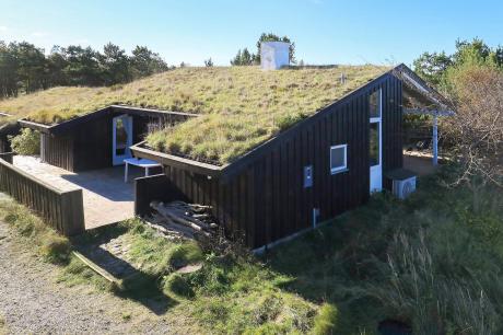 Holiday home Denmark - : 