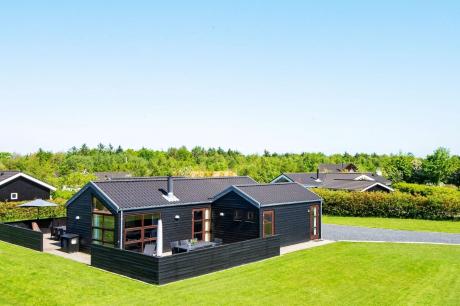 Holiday home Denmark - : 