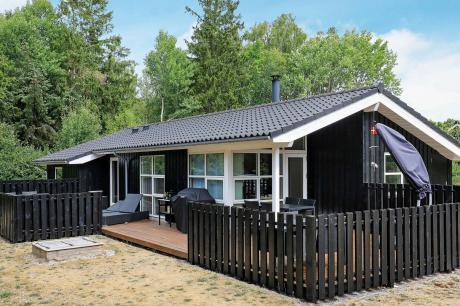 Holiday home Denmark - : 