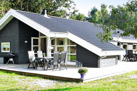 Holiday home Denmark - : 