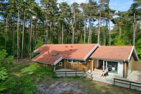 Holiday home Denmark - : 