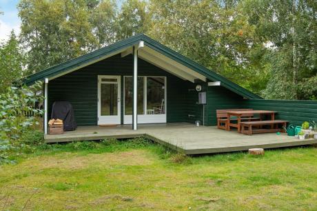 Holiday home Denmark - : 