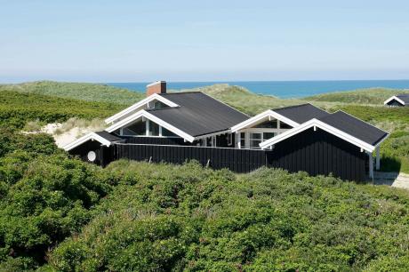 Holiday home Denmark - : 