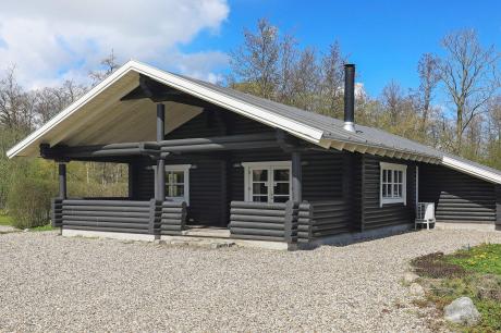 Holiday home Denmark - : 