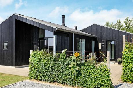 Ferienhaus Denemarken - : 