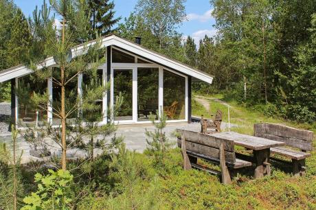 Holiday home Denmark - : 