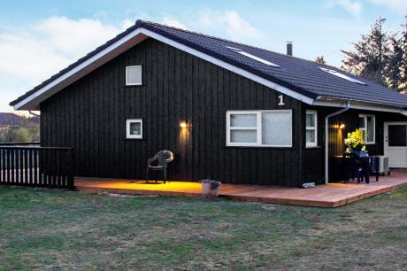 Holiday home Denmark - : 