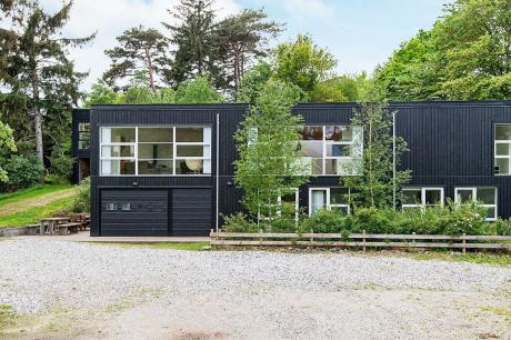 Holiday home Denmark - : 