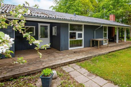 Holiday home Denmark - : 