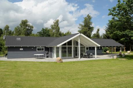 Holiday home Denmark - : 