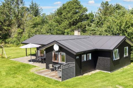 Holiday home Denmark - : 