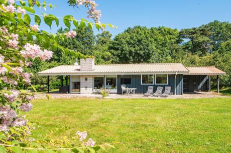 Holiday home Denmark - : 