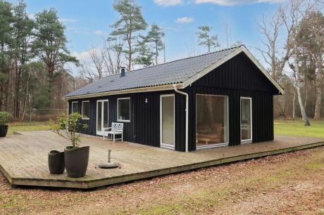 Holiday home Denmark - : 