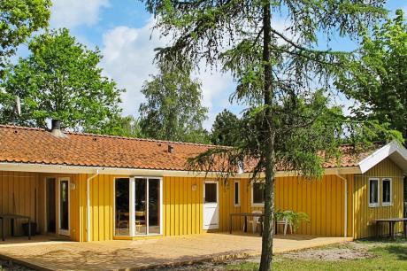 Holiday home Denmark - : 