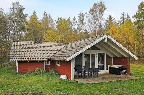 Holiday home Denmark - : 