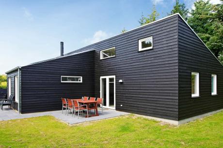 Holiday home Denmark - : 