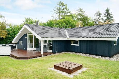 Holiday home Denmark - : 