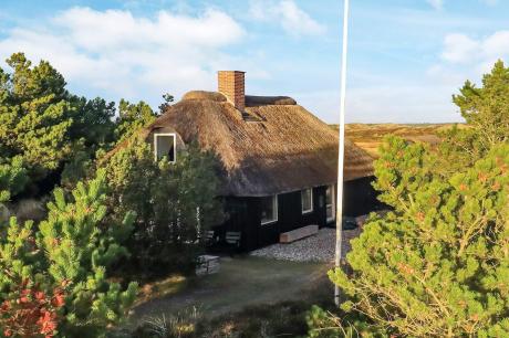 Holiday home Denmark - : 