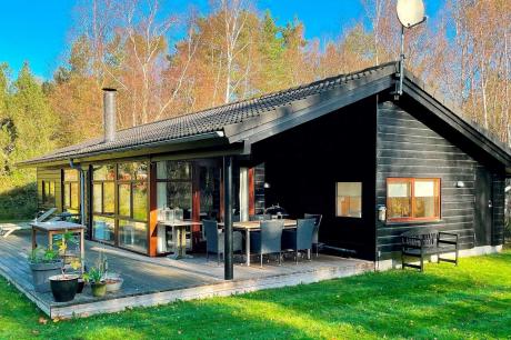 Holiday home Denmark - : 