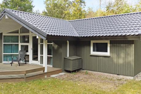 Holiday home Denmark - : 