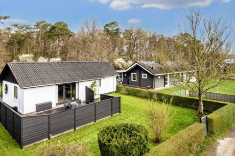 Ferienhaus Denemarken - : 