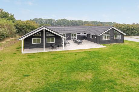 Holiday home Denmark - : 