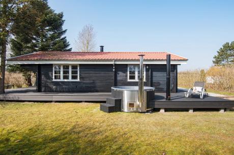 Holiday home Denmark - : 