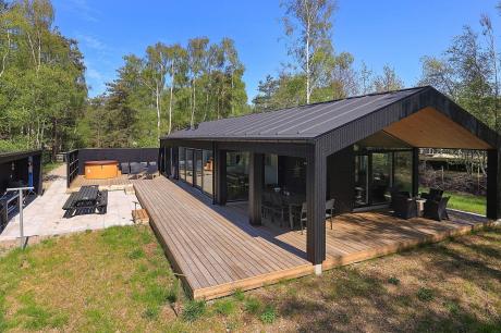 Holiday home Denmark - : 