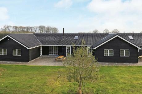 Ferienhaus Denemarken - : 