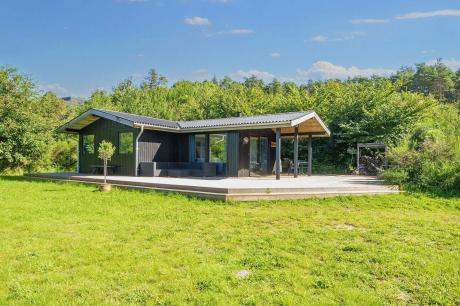 Holiday home Denmark - : 