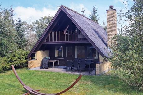 Ferienhaus Denemarken - : 