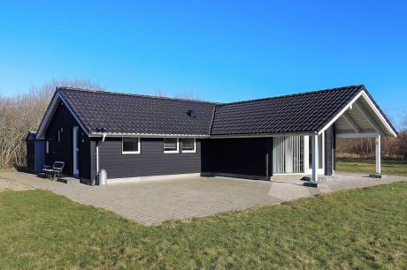 Holiday home Denmark - : 