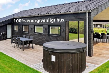 Holiday home Denmark - : 