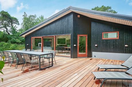 Holiday home Denmark - : 