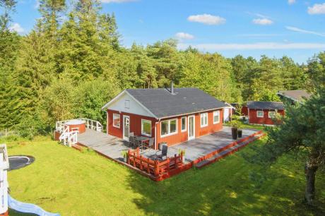 Holiday home Denmark - : 