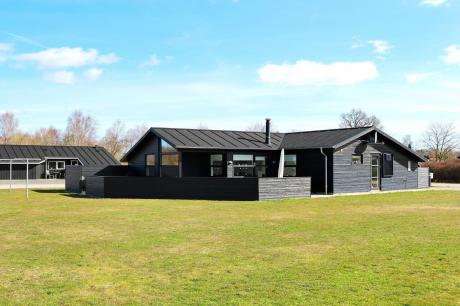 Holiday home Denmark - : 