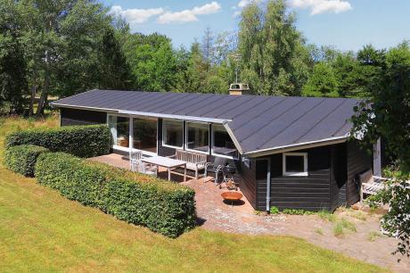 Ferienhaus Denemarken - : 